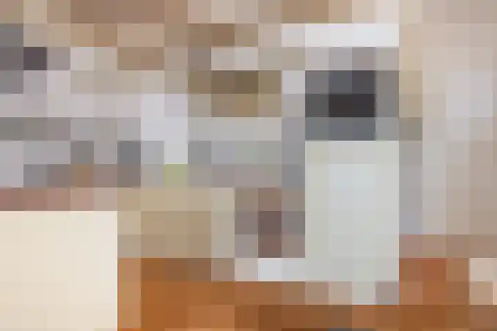 Voorstraat 72 Lekkerkerk thumbnail 15