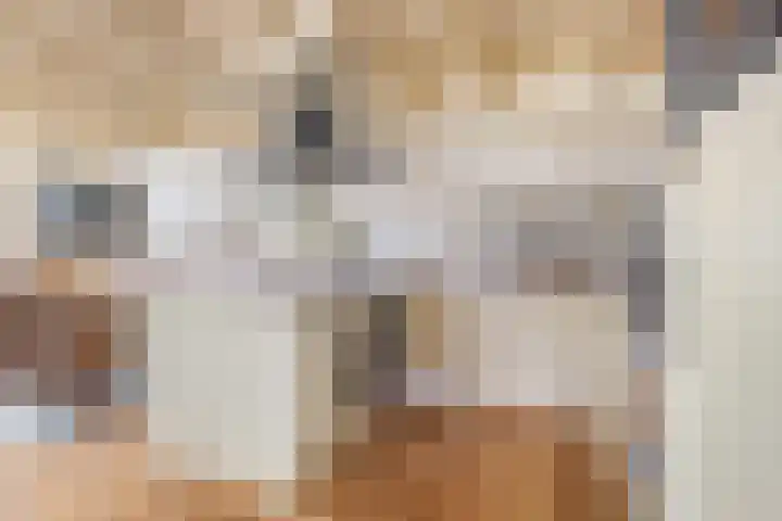 Voorstraat 72 Lekkerkerk thumbnail 16