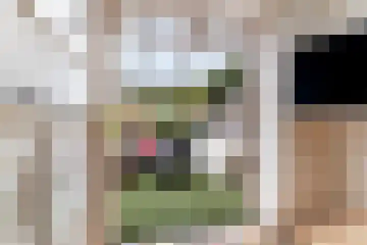 Voorstraat 72 Lekkerkerk thumbnail 22