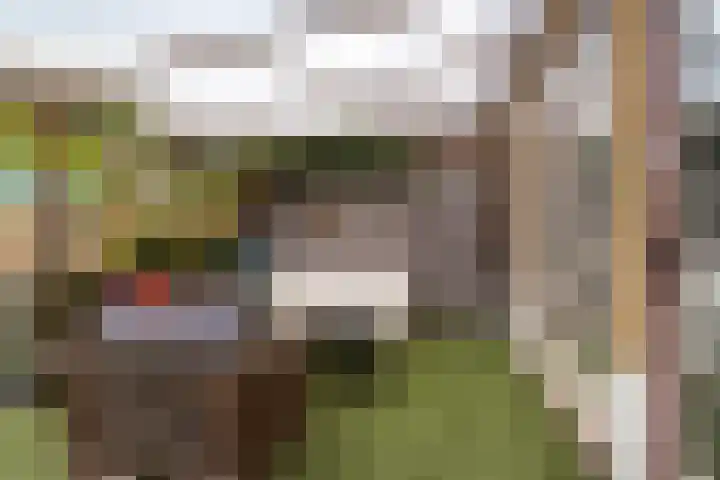 Voorstraat 72 Lekkerkerk thumbnail 23