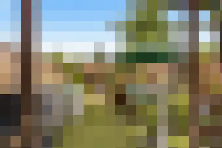 Voorstraat 72 Lekkerkerk thumbnail 24