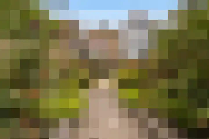 Voorstraat 72 Lekkerkerk thumbnail 29