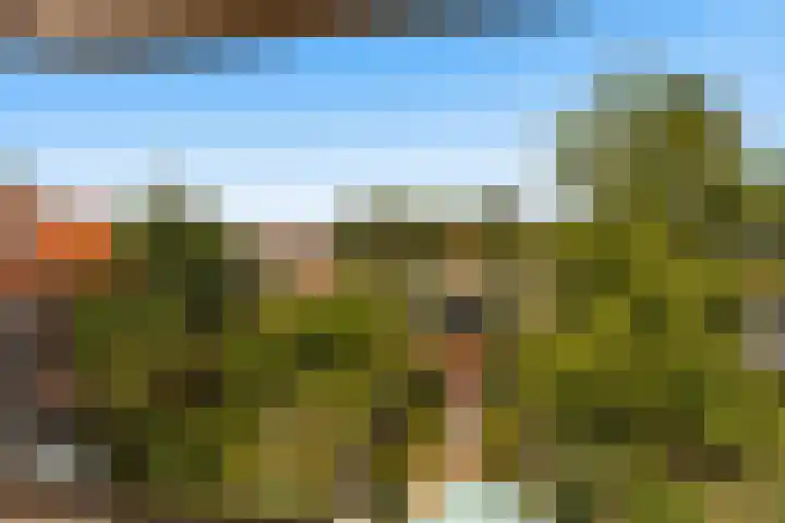 Voorstraat 72 Lekkerkerk thumbnail 46
