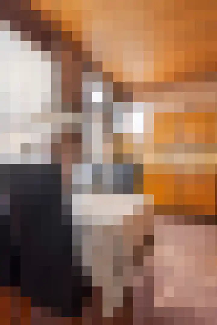 Voorstraat 72 Roosendaal thumbnail 8