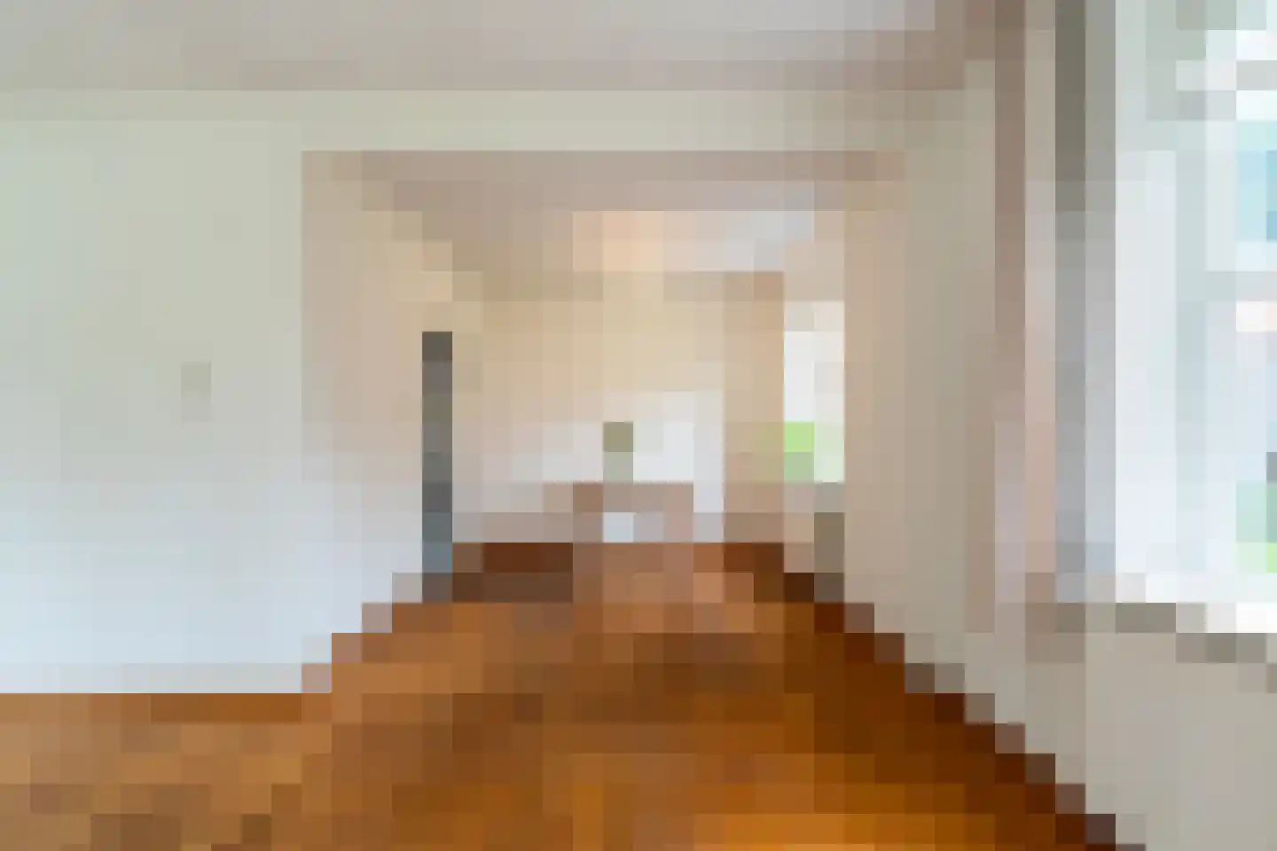 Voorstraat 8 Almkerk thumbnail 15