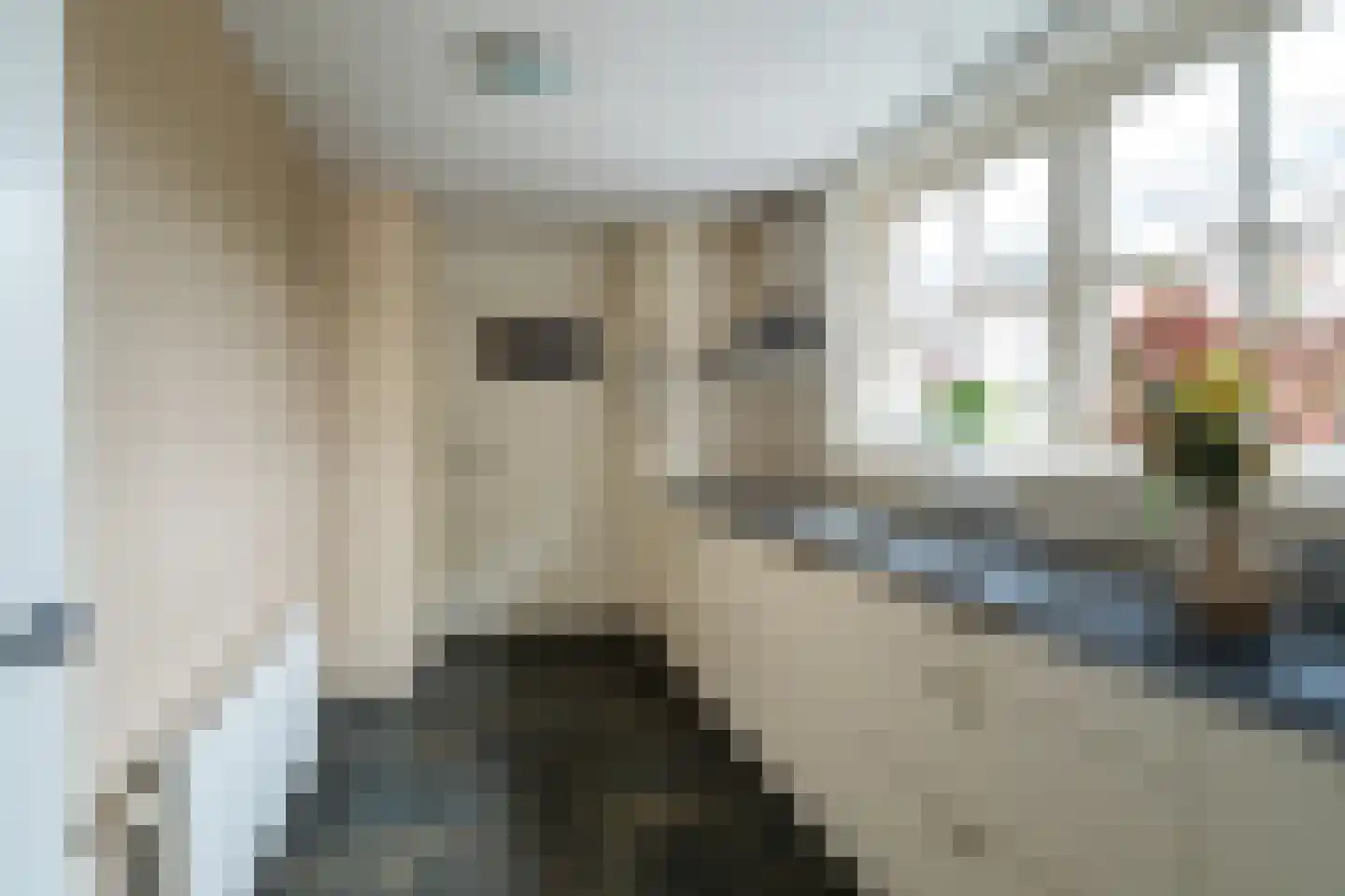 Voorstraat 8 Almkerk thumbnail 16