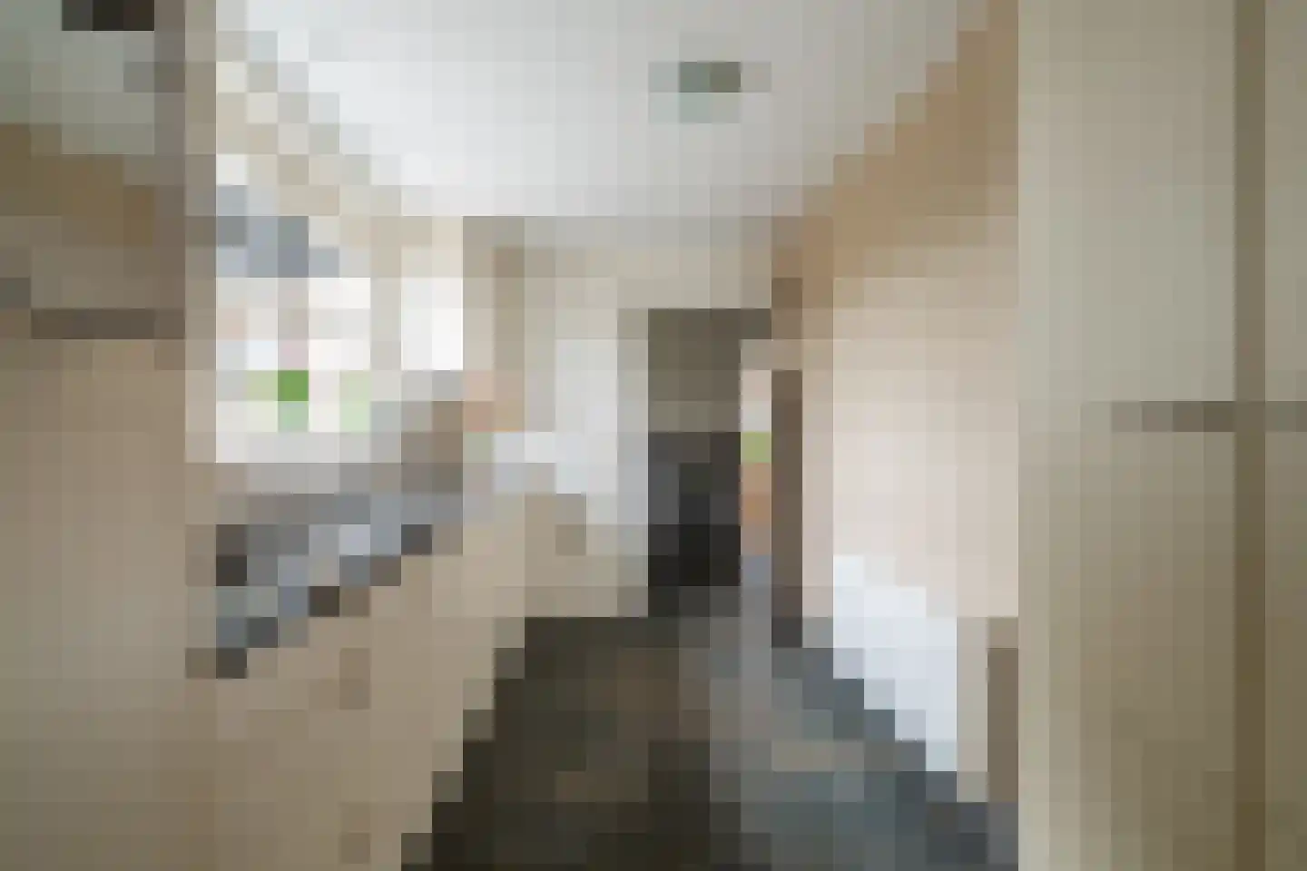 Voorstraat 8 Almkerk thumbnail 17