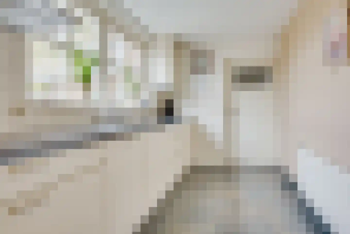 Voorstraat 8 Almkerk thumbnail 18