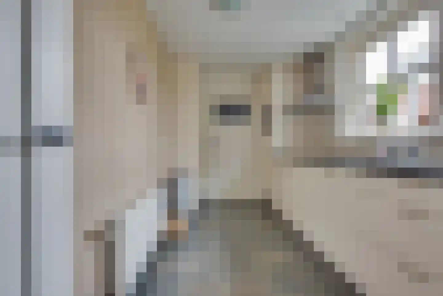 Voorstraat 8 Almkerk thumbnail 19