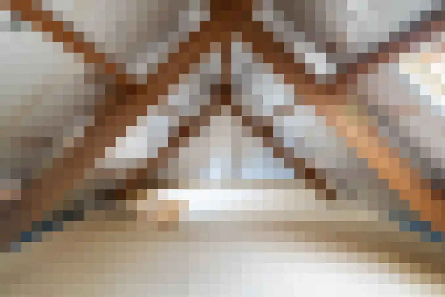 Voorstraat 8 Almkerk thumbnail 40