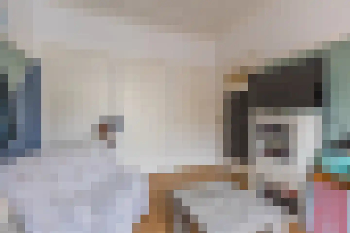 Voorstraat 8 Fijnaart thumbnail 10