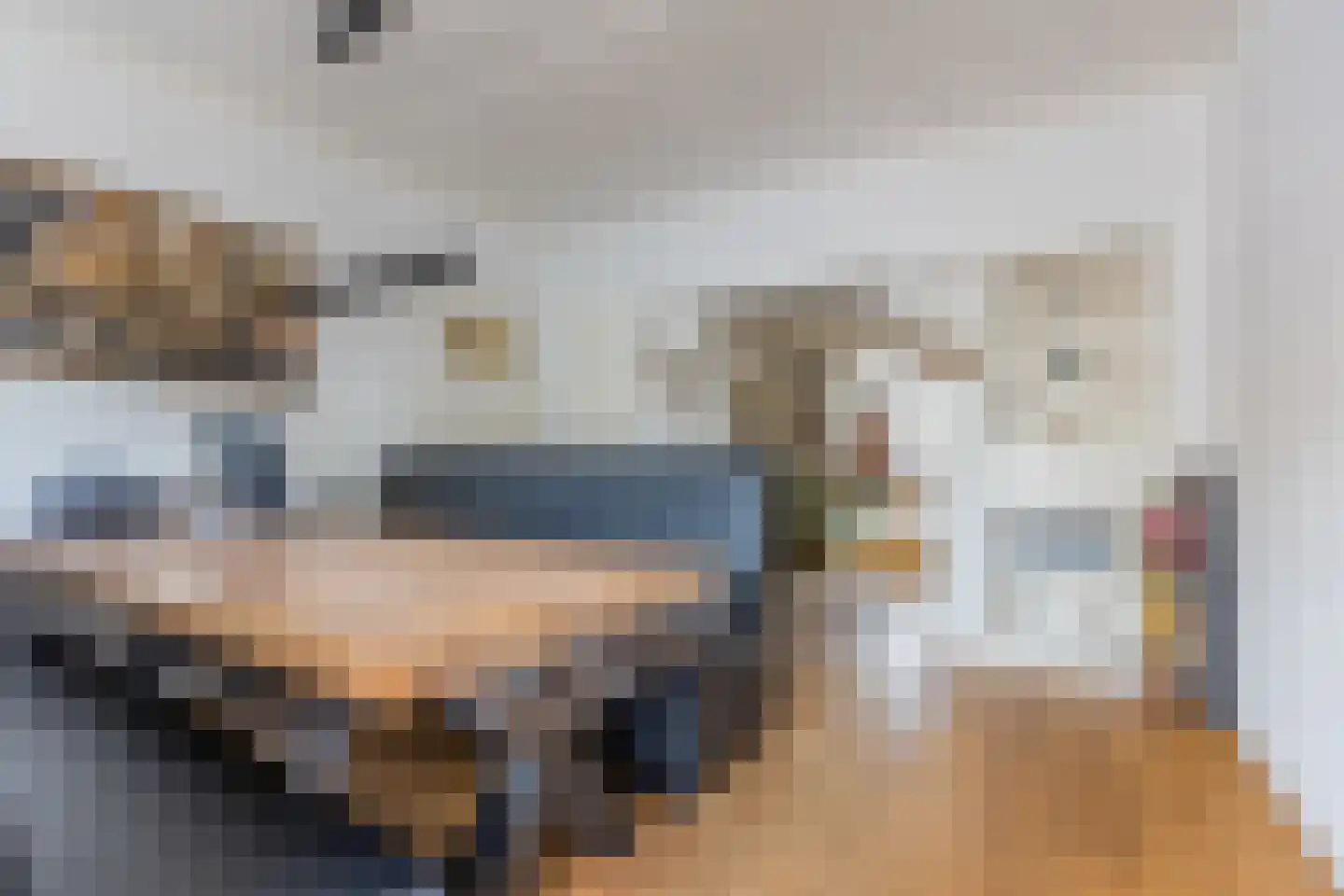 Voorstraat 8 Fijnaart thumbnail 15