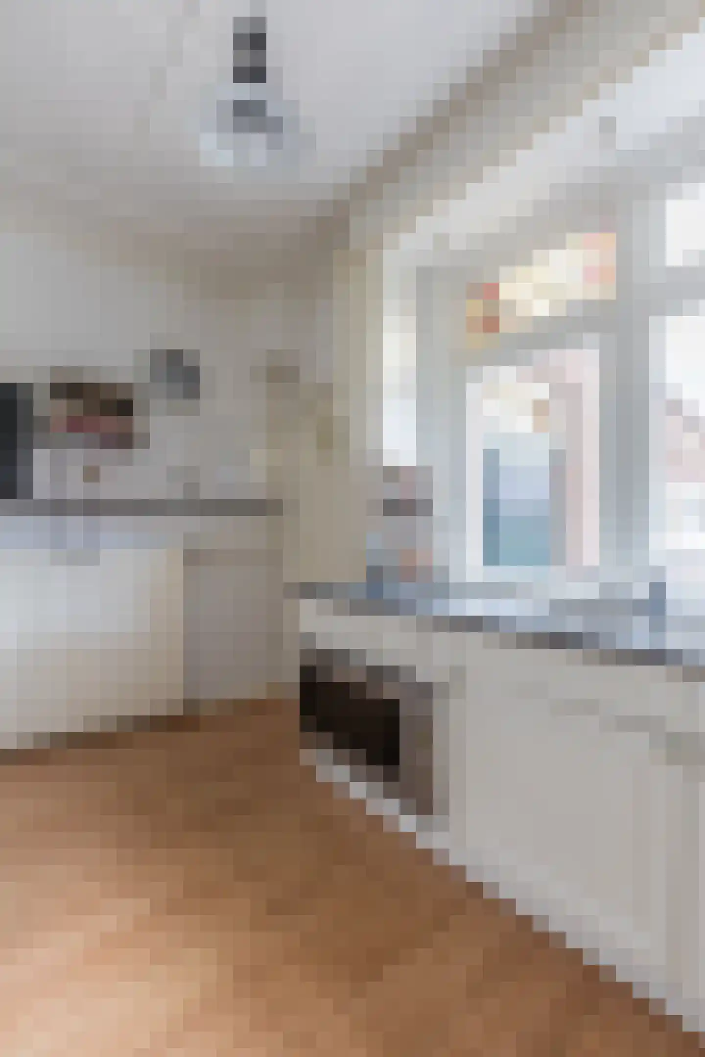 Voorstraat 8 Fijnaart thumbnail 17