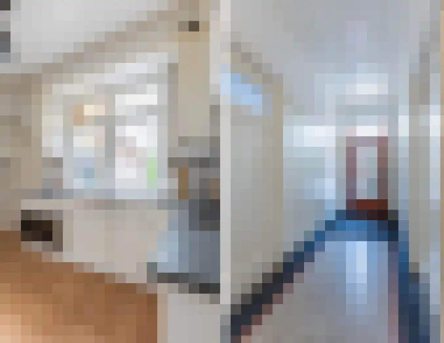 Voorstraat 8 Fijnaart thumbnail 4
