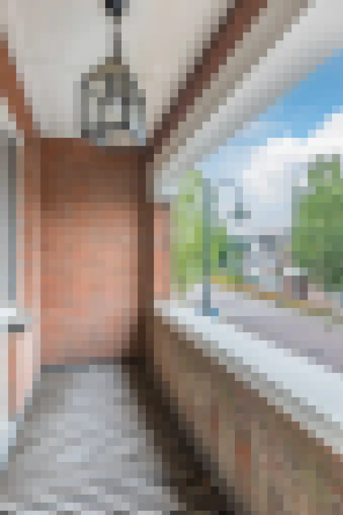 Voorstraat 8 Fijnaart thumbnail 43