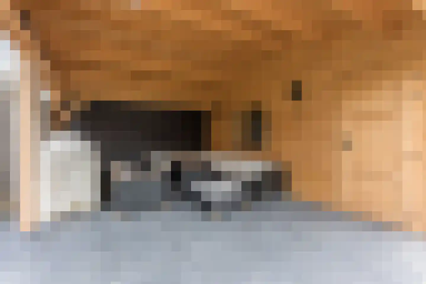 Voorstraat 8 Fijnaart thumbnail 52
