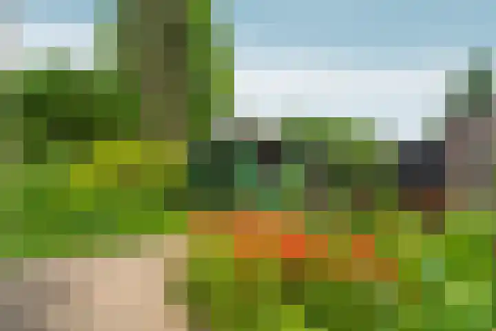 Voorstraat 8 Spijk thumbnail 34
