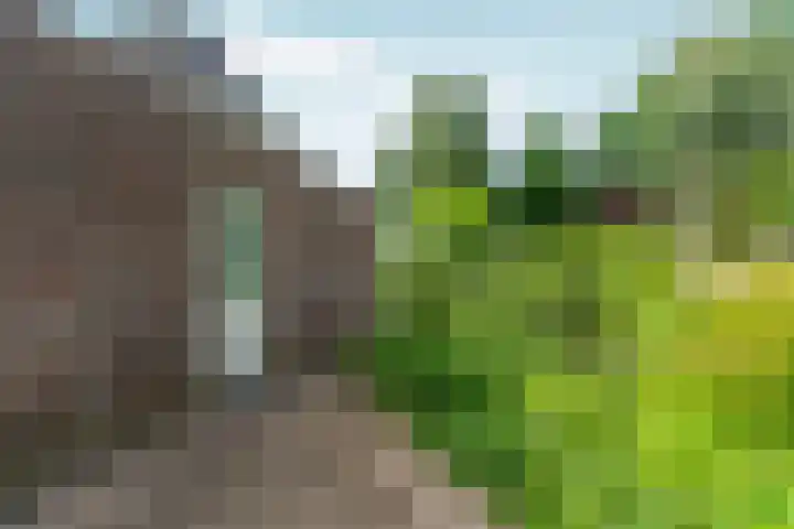 Voorstraat 8 Spijk thumbnail 35