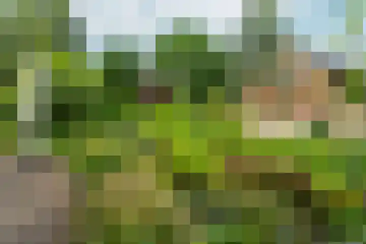 Voorstraat 8 Spijk thumbnail 36