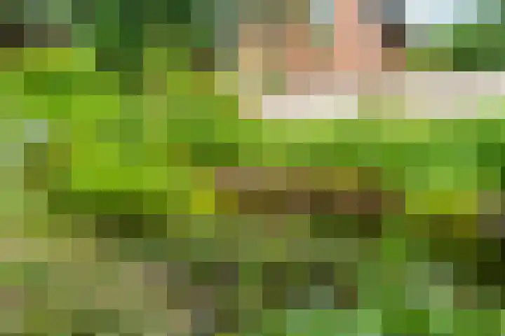 Voorstraat 8 Spijk thumbnail 37