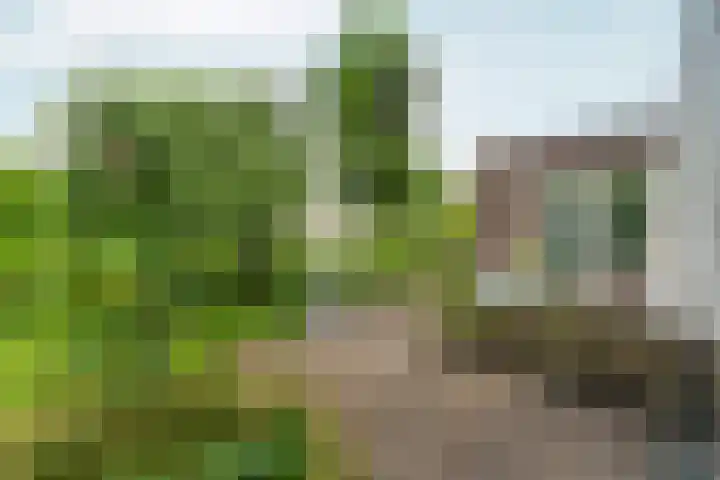 Voorstraat 8 Spijk thumbnail 40