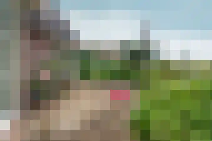 Voorstraat 8 Spijk thumbnail 41