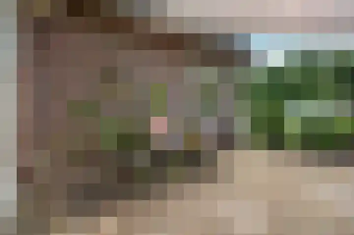 Voorstraat 8 Spijk thumbnail 42