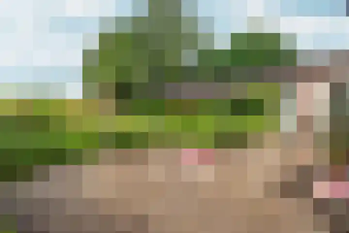 Voorstraat 8 Spijk thumbnail 43