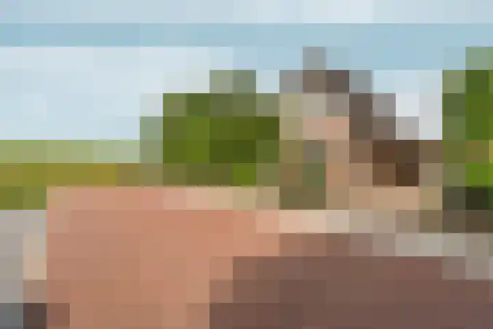 Voorstraat 8 Spijk thumbnail 49