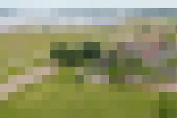 Voorstraat 8 Spijk thumbnail 5