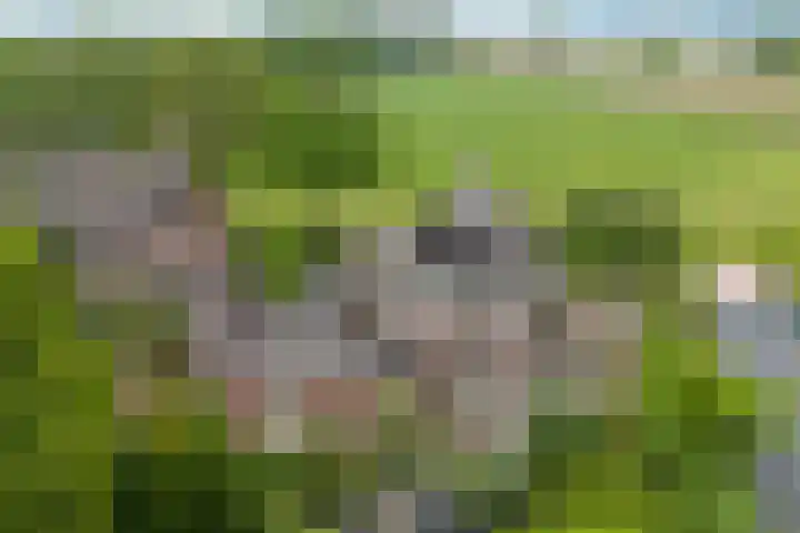 Voorstraat 8 Spijk thumbnail 50