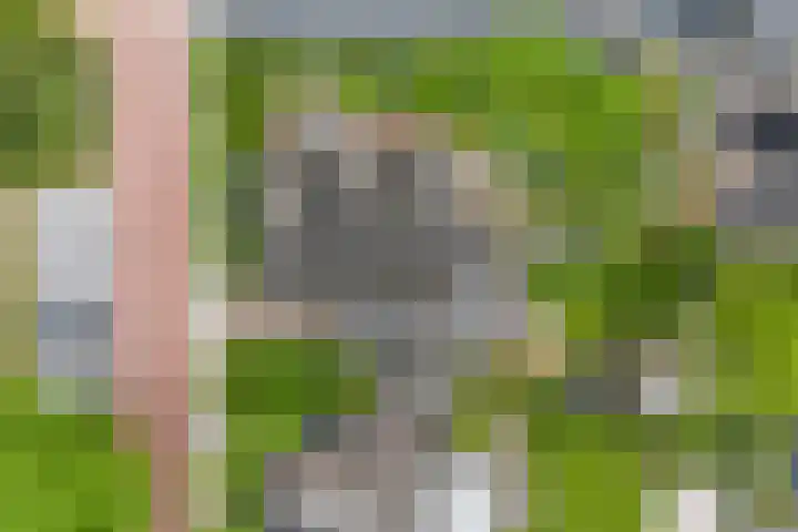 Voorstraat 8 Spijk thumbnail 51