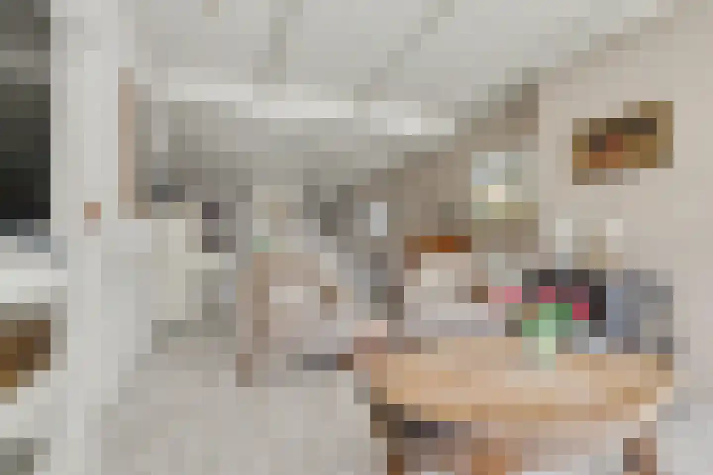Voorstraat 8 Wissenkerke thumbnail 10