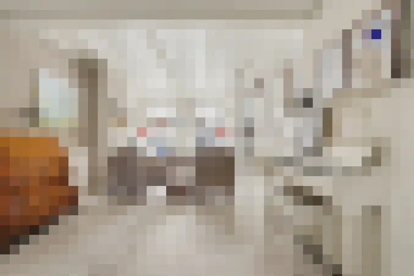 Voorstraat 8 Wissenkerke thumbnail 11
