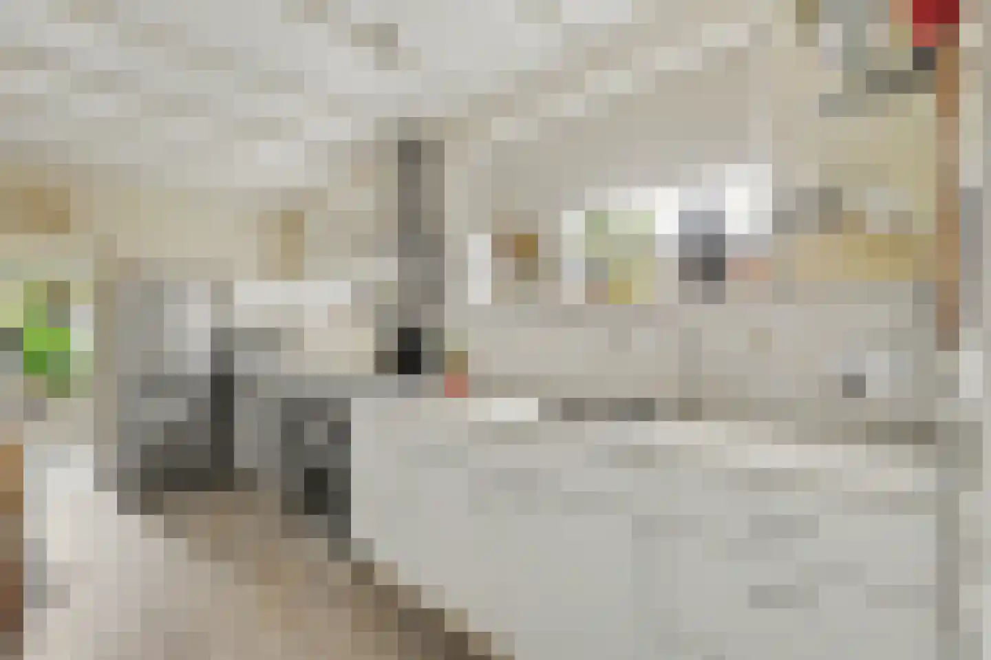 Voorstraat 8 Wissenkerke thumbnail 13
