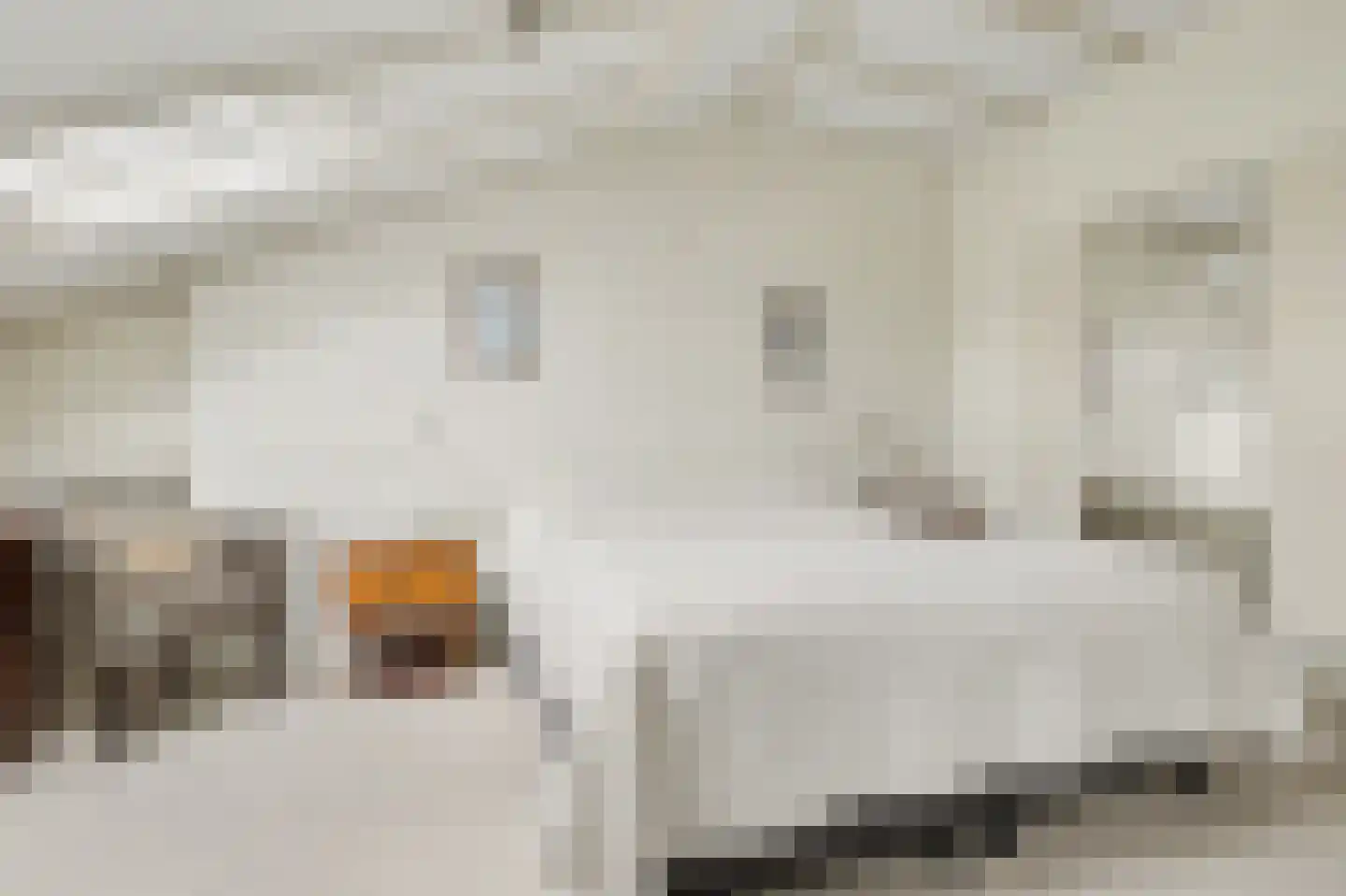 Voorstraat 8 Wissenkerke thumbnail 16