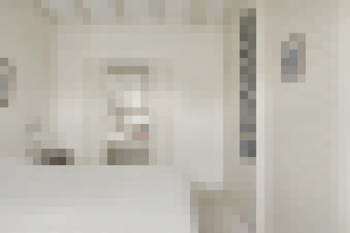 Voorstraat 8 Wissenkerke thumbnail 18