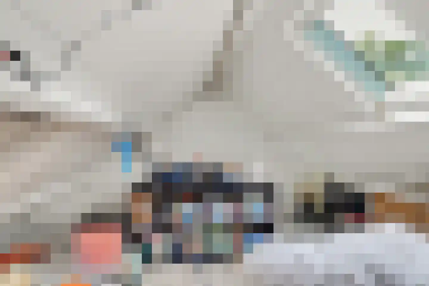 Voorstraat 8 Wissenkerke thumbnail 22