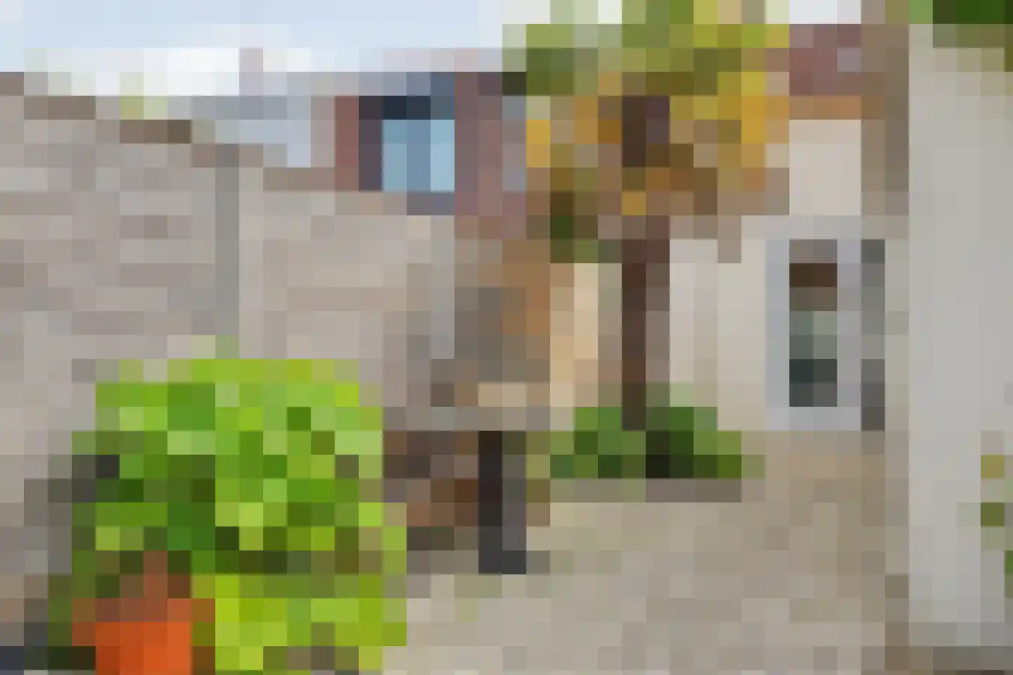 Voorstraat 8 Wissenkerke thumbnail 24