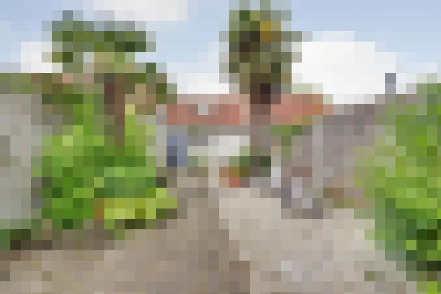 Voorstraat 8 Wissenkerke thumbnail 25