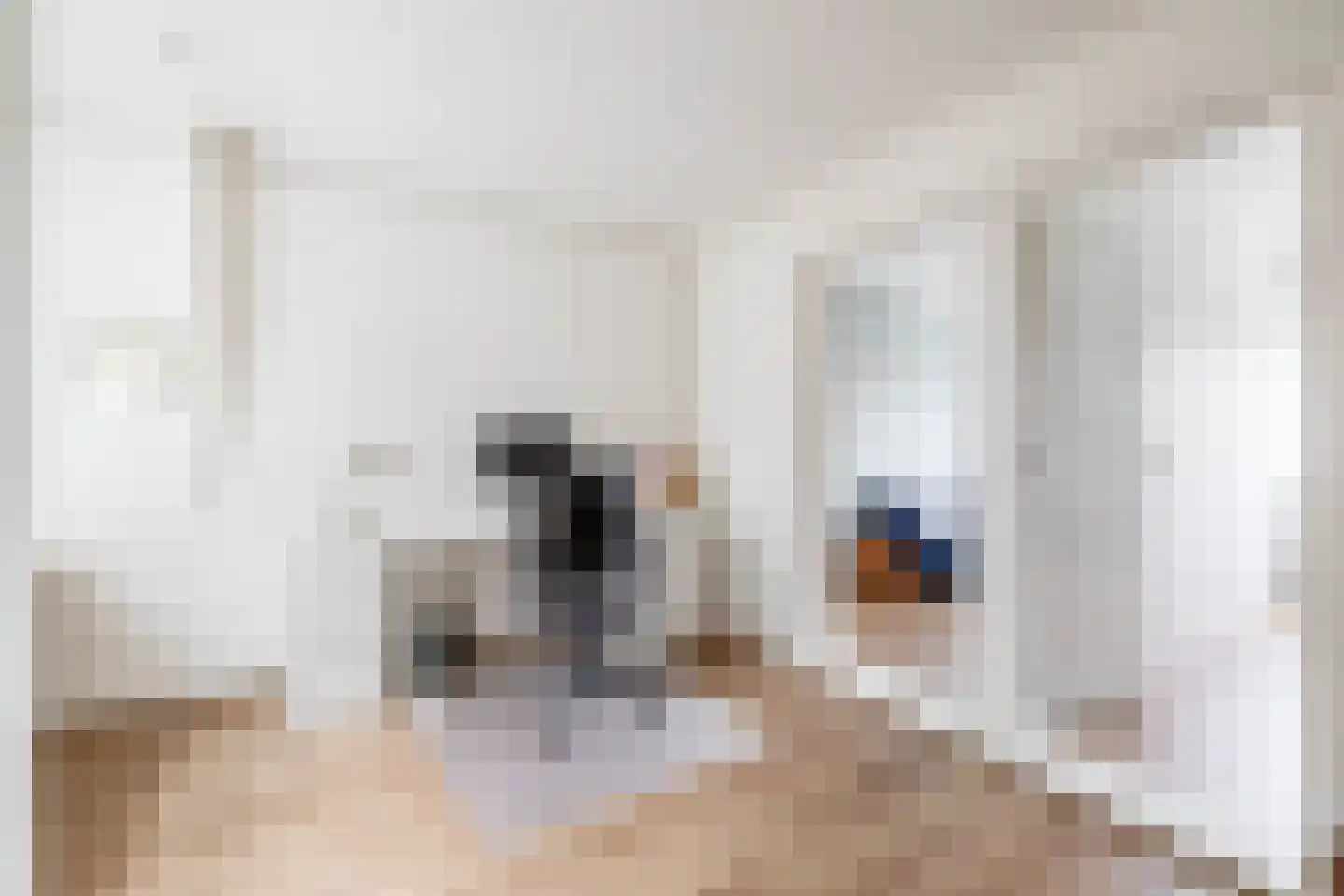 Voorstraat 83 Brielle thumbnail 34