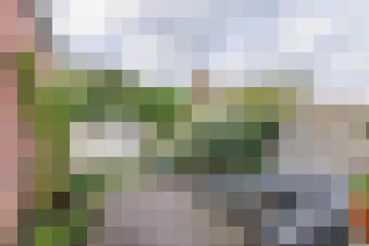 Voorstraat 83 Brielle thumbnail 38
