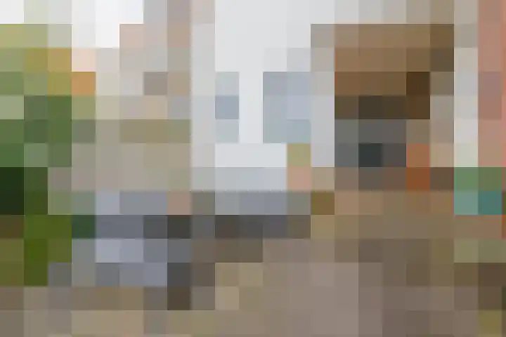 Voorstraat 83 Brielle thumbnail 39