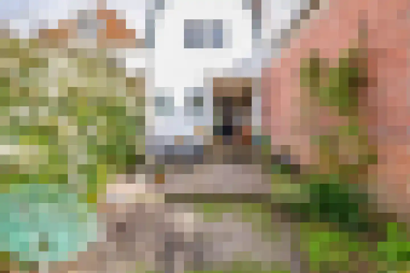 Voorstraat 83 Brielle thumbnail 40