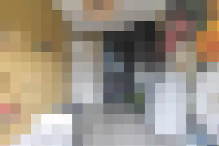 Voorstraat 83 Brielle thumbnail 8