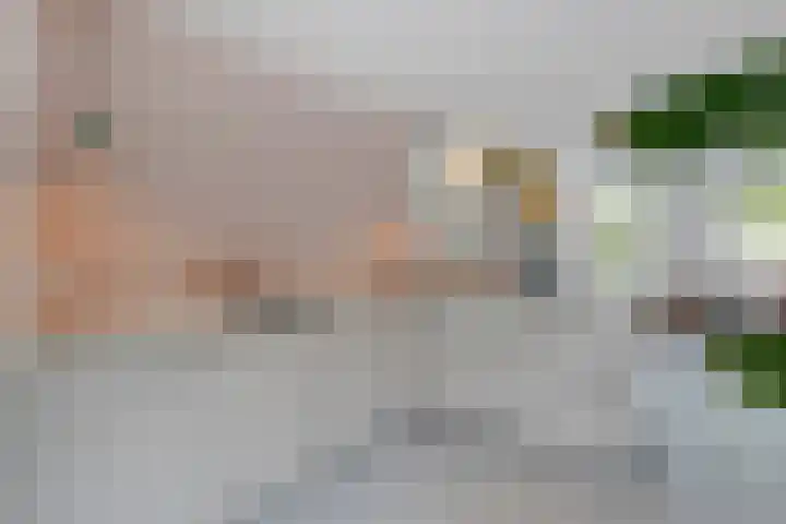 Voorstraat 84 Groot-Ammers thumbnail 18