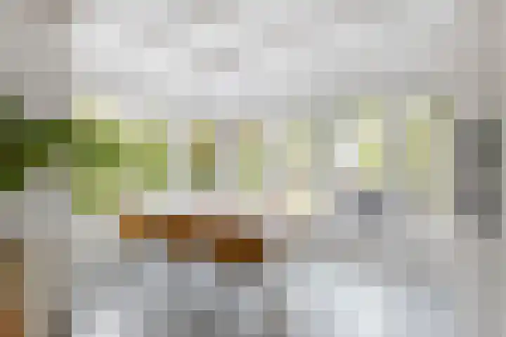 Voorstraat 84 Groot-Ammers thumbnail 22