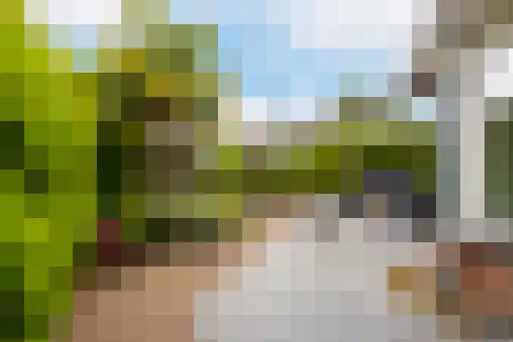 Voorstraat 84 Groot-Ammers thumbnail 39