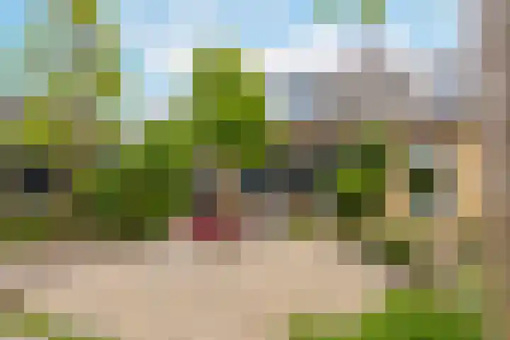 Voorstraat 84 Groot-Ammers thumbnail 47