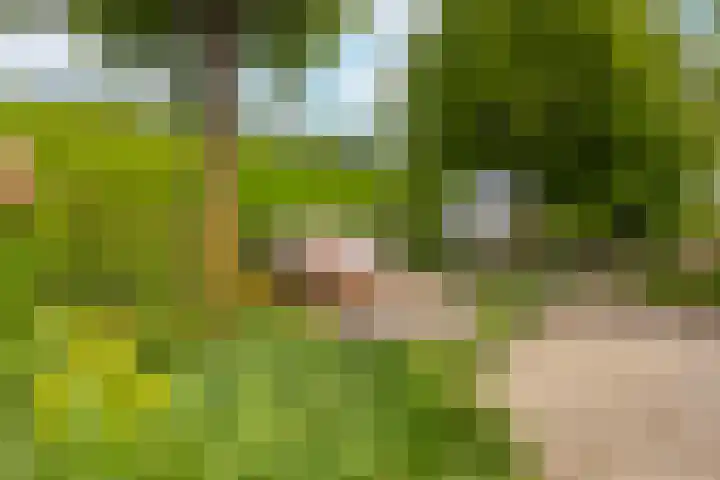 Voorstraat 84 Groot-Ammers thumbnail 48